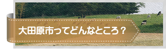 大田原市ってどんなところ？