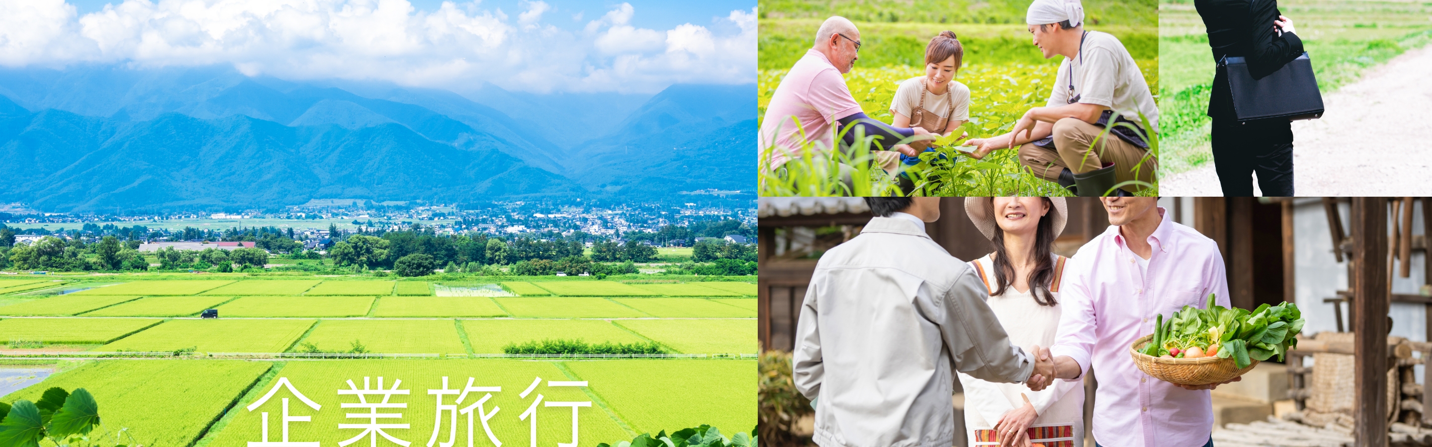 個人旅行のご案内